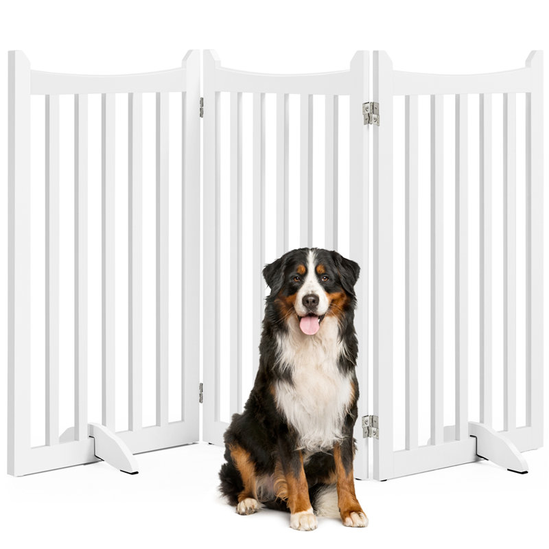 Picket fence dog gate best sale